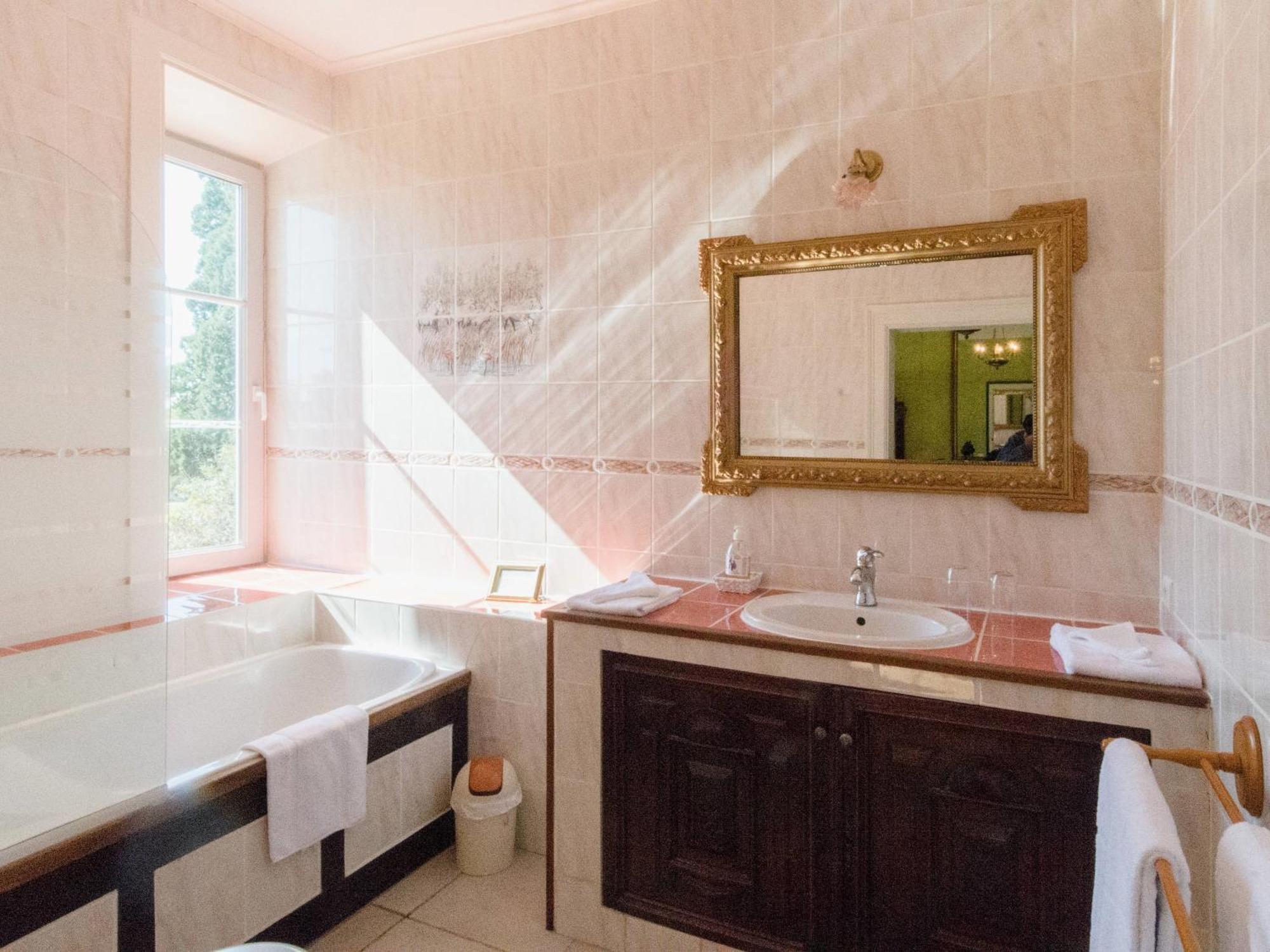 Chateau De Saint-Antoine Bonnac-la-Côte Habitación foto